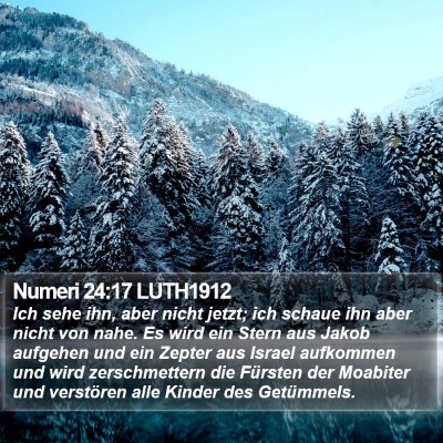 Numeri 24:17 LUTH1912 Bible Verse Image