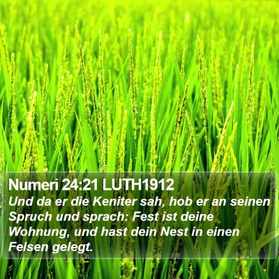 Numeri 24:21 LUTH1912 Bible Verse Image