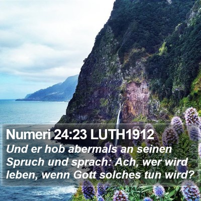 Numeri 24:23 LUTH1912 Bible Verse Image