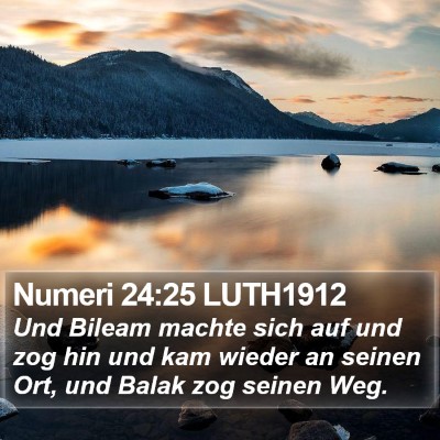 Numeri 24:25 LUTH1912 Bible Verse Image