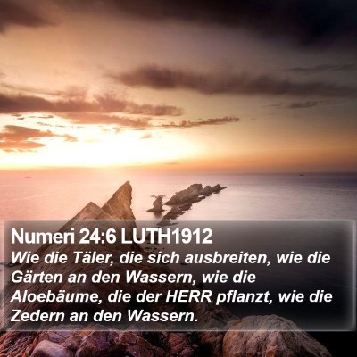 Numeri 24:6 LUTH1912 Bible Verse Image