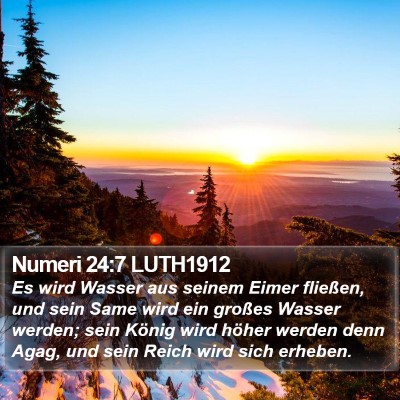 Numeri 24:7 LUTH1912 Bible Verse Image