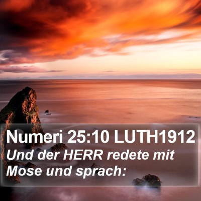 Numeri 25:10 LUTH1912 Bible Verse Image