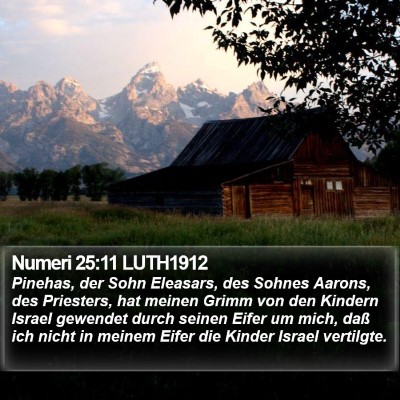 Numeri 25:11 LUTH1912 Bible Verse Image