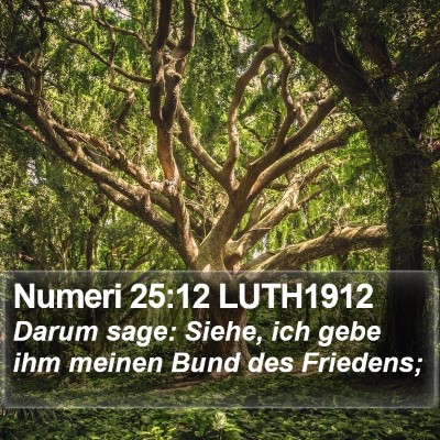 Numeri 25:12 LUTH1912 Bible Verse Image