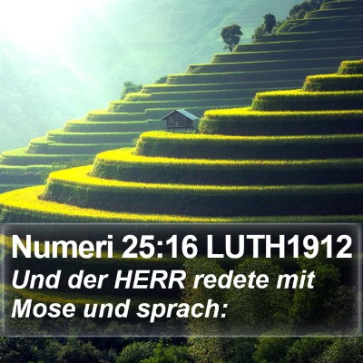 Numeri 25:16 LUTH1912 Bible Verse Image