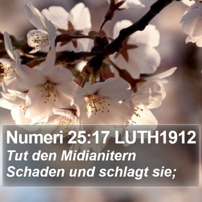 Numeri 25:17 LUTH1912 Bible Verse Image