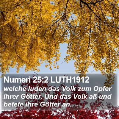 Numeri 25:2 LUTH1912 Bible Verse Image