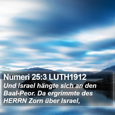 Numeri 25:3 LUTH1912 Bible Verse Image