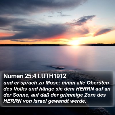 Numeri 25:4 LUTH1912 Bible Verse Image