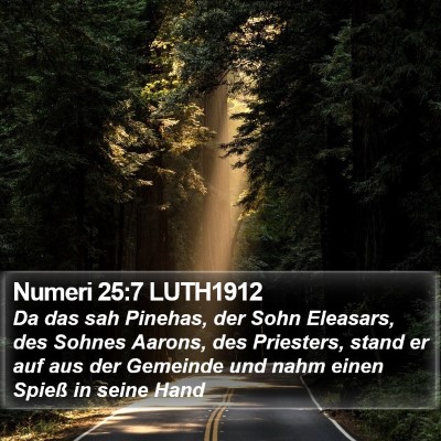 Numeri 25:7 LUTH1912 Bible Verse Image