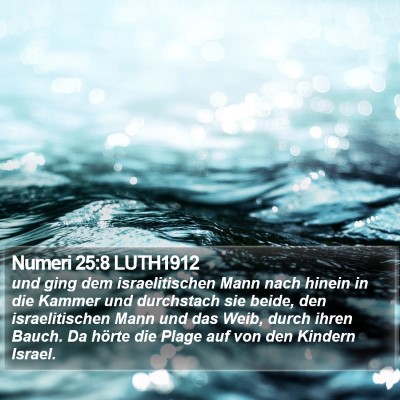 Numeri 25:8 LUTH1912 Bible Verse Image