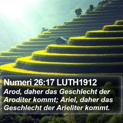 Numeri 26:17 LUTH1912 Bible Verse Image