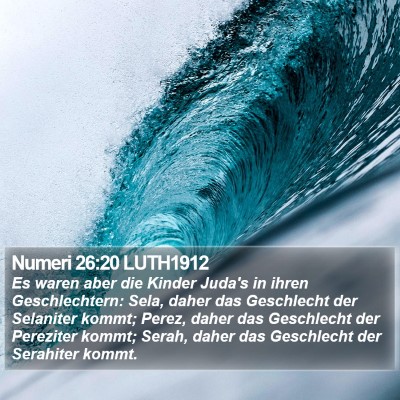 Numeri 26:20 LUTH1912 Bible Verse Image