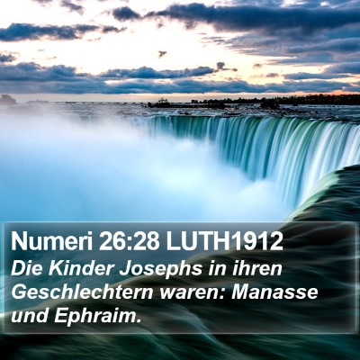 Numeri 26:28 LUTH1912 Bible Verse Image