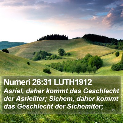Numeri 26:31 LUTH1912 Bible Verse Image