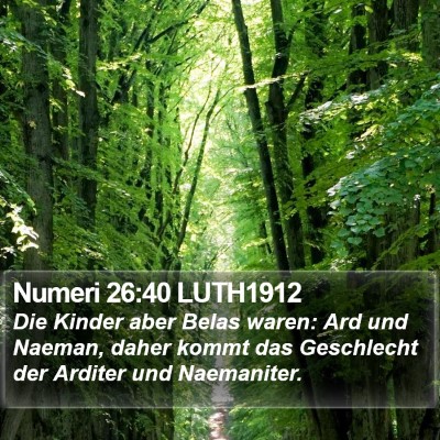 Numeri 26:40 LUTH1912 Bible Verse Image