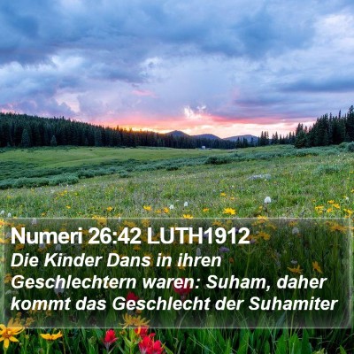 Numeri 26:42 LUTH1912 Bible Verse Image