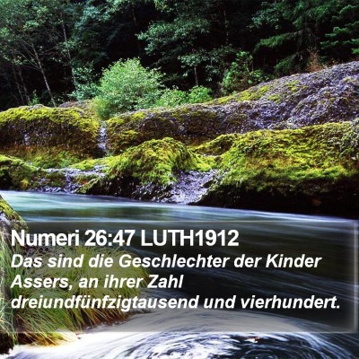 Numeri 26:47 LUTH1912 Bible Verse Image