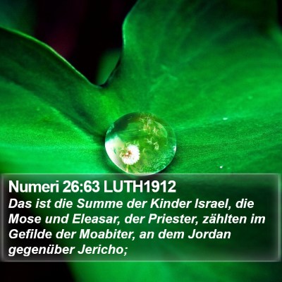 Numeri 26:63 LUTH1912 Bible Verse Image