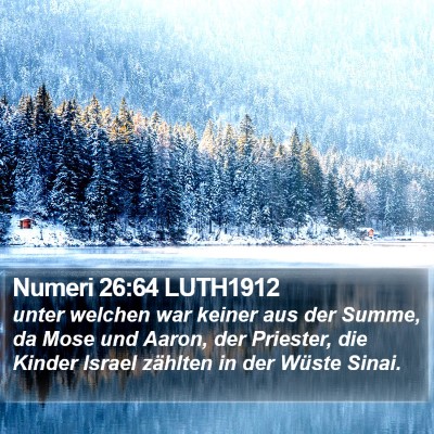 Numeri 26:64 LUTH1912 Bible Verse Image