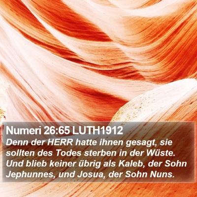 Numeri 26:65 LUTH1912 Bible Verse Image