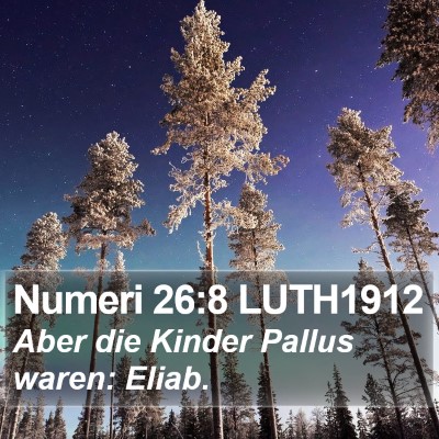 Numeri 26:8 LUTH1912 Bible Verse Image
