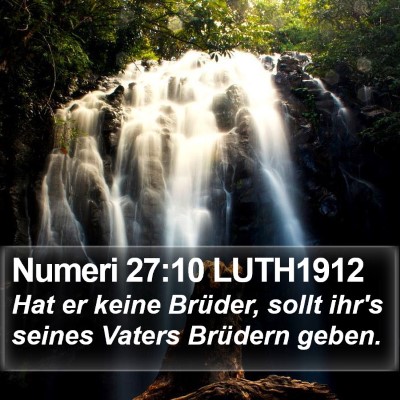 Numeri 27:10 LUTH1912 Bible Verse Image