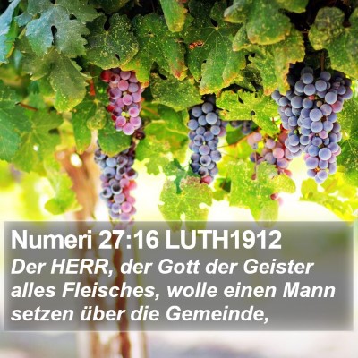 Numeri 27:16 LUTH1912 Bible Verse Image