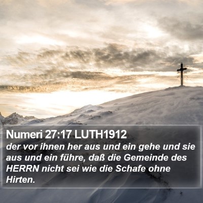Numeri 27:17 LUTH1912 Bible Verse Image