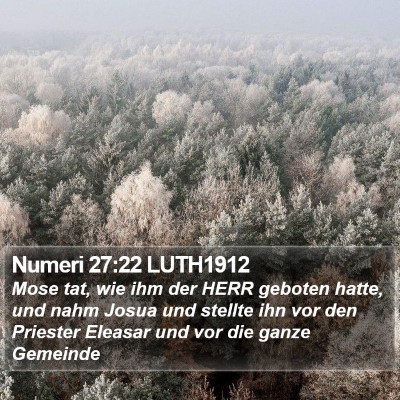 Numeri 27:22 LUTH1912 Bible Verse Image