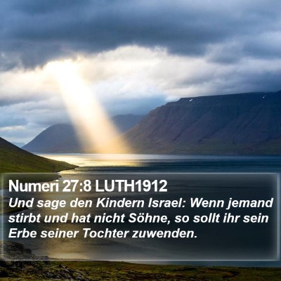 Numeri 27:8 LUTH1912 Bible Verse Image