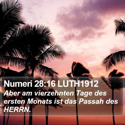 Numeri 28:16 LUTH1912 Bible Verse Image