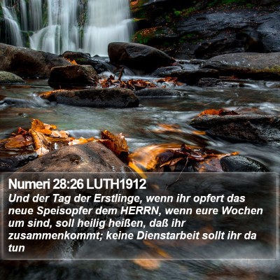 Numeri 28:26 LUTH1912 Bible Verse Image