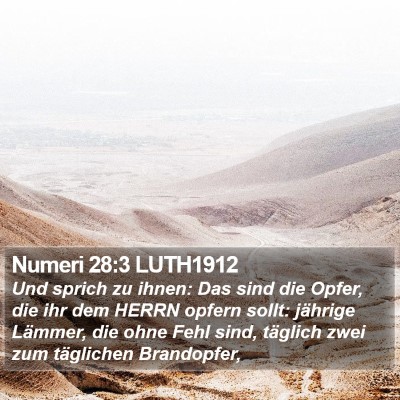 Numeri 28:3 LUTH1912 Bible Verse Image