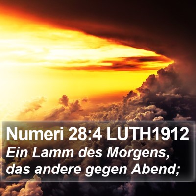 Numeri 28:4 LUTH1912 Bible Verse Image