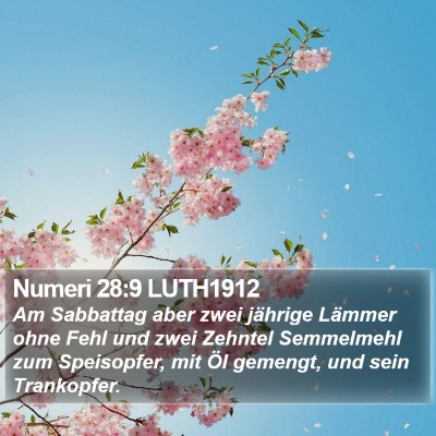 Numeri 28:9 LUTH1912 Bible Verse Image