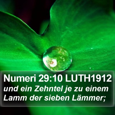 Numeri 29:10 LUTH1912 Bible Verse Image