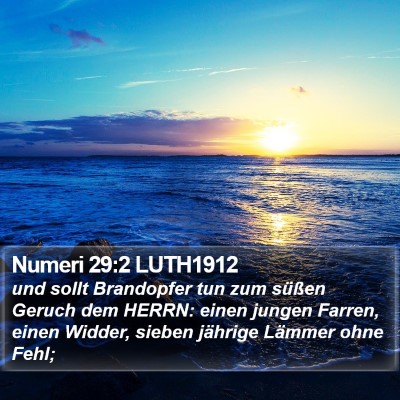 Numeri 29:2 LUTH1912 Bible Verse Image