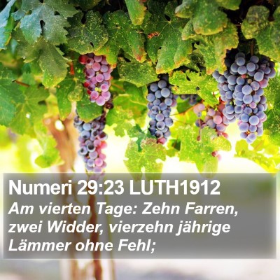 Numeri 29:23 LUTH1912 Bible Verse Image