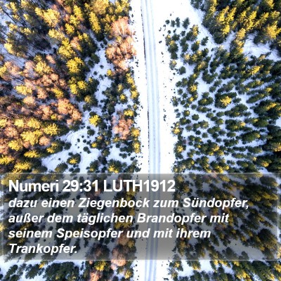 Numeri 29:31 LUTH1912 Bible Verse Image