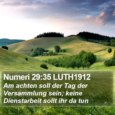 Numeri 29:35 LUTH1912 Bible Verse Image