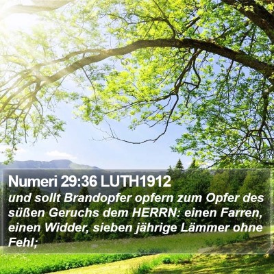 Numeri 29:36 LUTH1912 Bible Verse Image