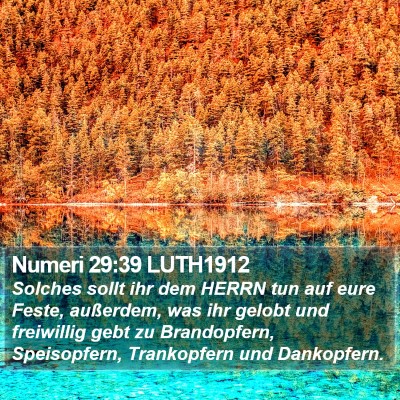 Numeri 29:39 LUTH1912 Bible Verse Image