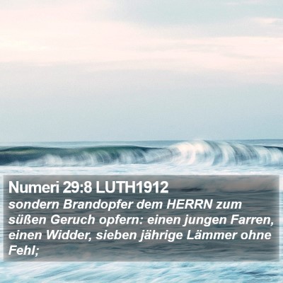 Numeri 29:8 LUTH1912 Bible Verse Image