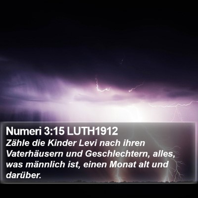 Numeri 3:15 LUTH1912 Bible Verse Image