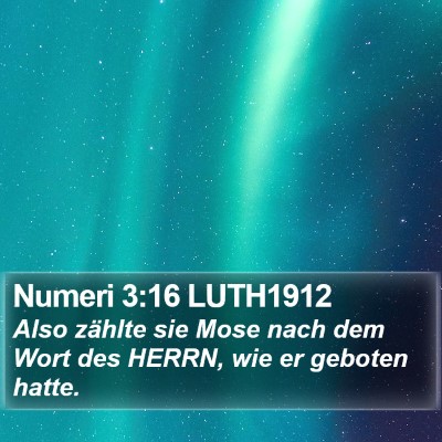 Numeri 3:16 LUTH1912 Bible Verse Image