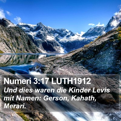 Numeri 3:17 LUTH1912 Bible Verse Image
