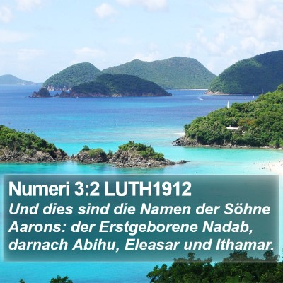 Numeri 3:2 LUTH1912 Bible Verse Image