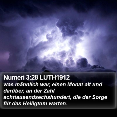 Numeri 3:28 LUTH1912 Bible Verse Image